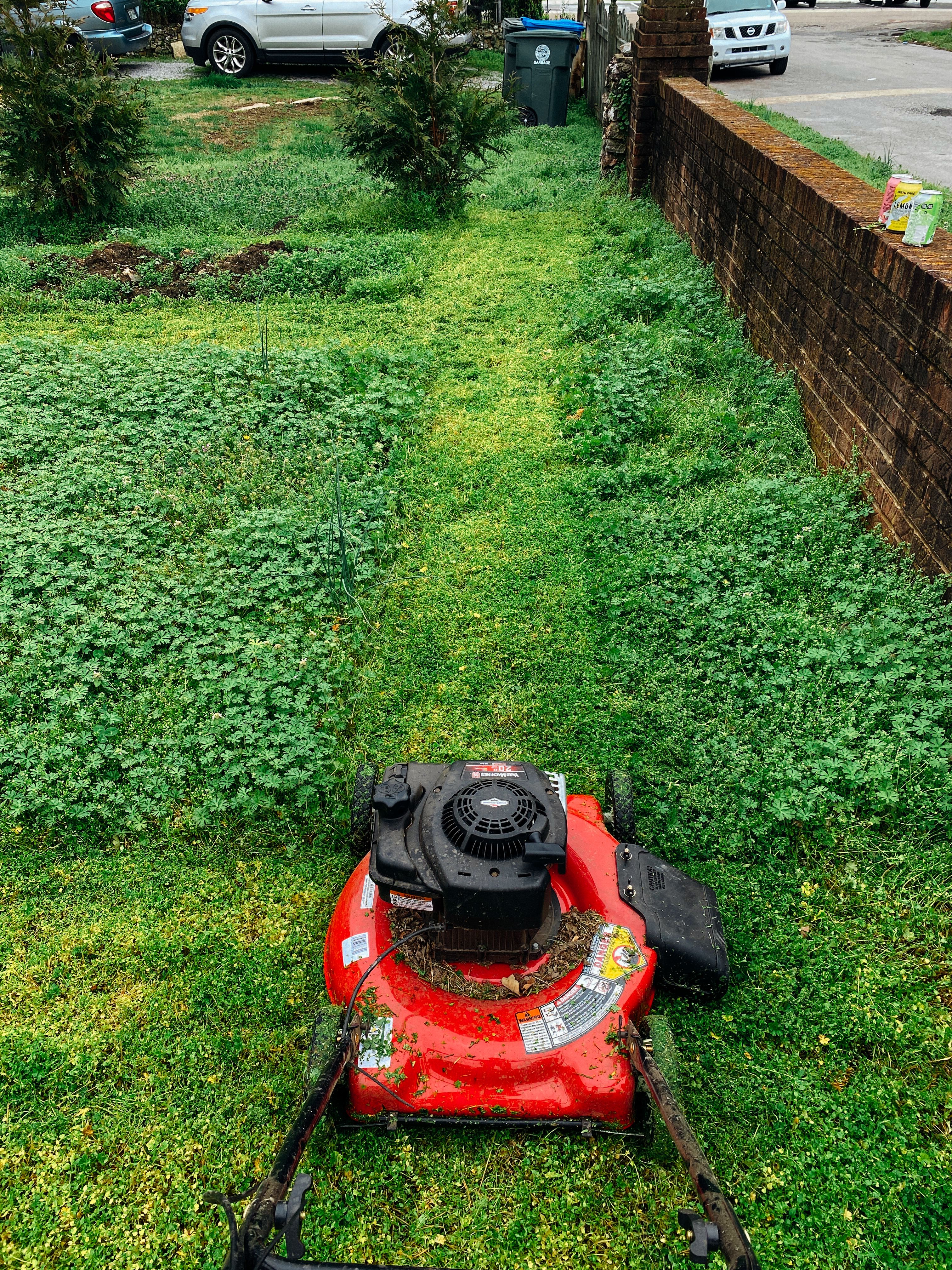 Tonte d'une pelouse envahie par les herbes hautes